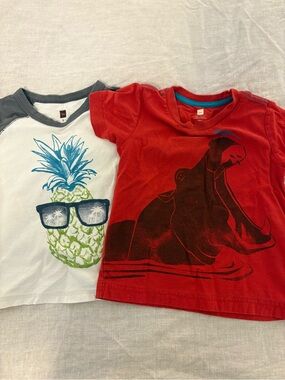 Lot of 2 Tea Collection Boys T-Shirts Size 3